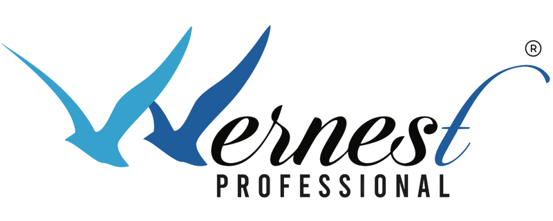 Wernest Professionals